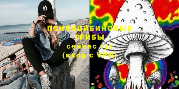 хмурый Арсеньев