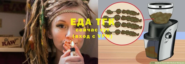 хмурый Арсеньев