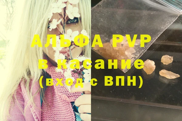 хмурый Арсеньев