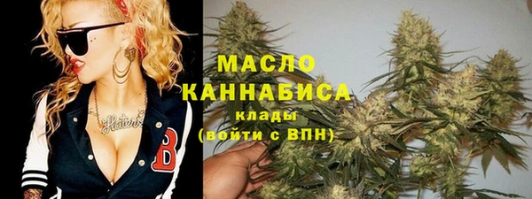 хмурый Арсеньев