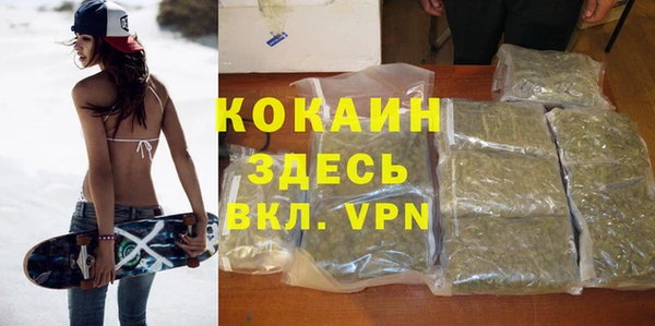 хмурый Арсеньев