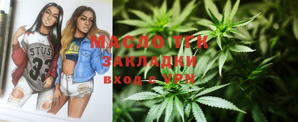 хмурый Арсеньев