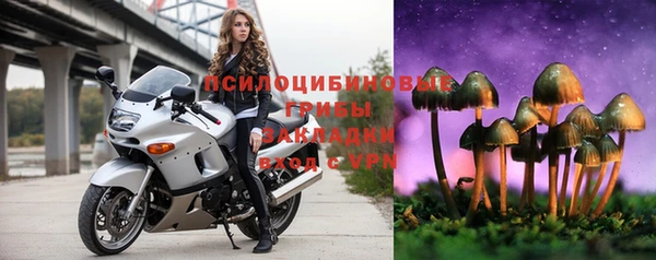 хмурый Арсеньев